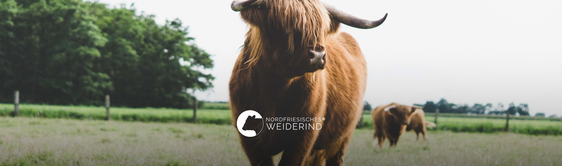 NORDFRIESISCHES WEIDERIND®