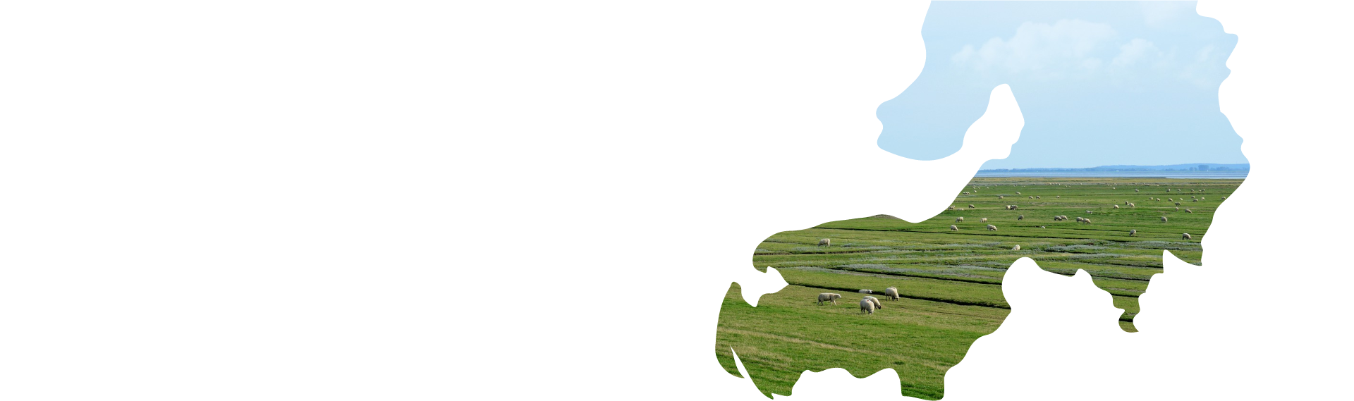 Nordfriesisches Lammkontor in Husum